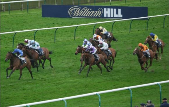 Horses Racing with William Hill as a Sponsor