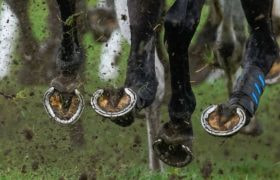 An Image Showing a Horse Race in Action