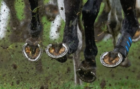 An Image Showing a Horse Race in Action