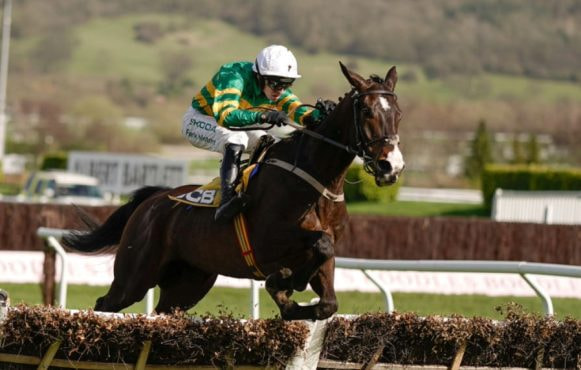 Mark Walsh Riding Majborough to win the 2024 JCB Triumph Hurdle at the Cheltenham Festival.