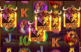 Screenshot from the New Roaming Wild Buffalo by Octoplay During Wild Feature