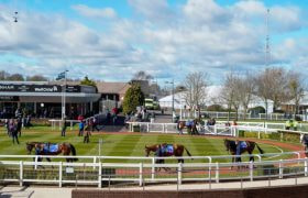 Horses on Parade at the Crowdless 2021 Cheltenham Festival.