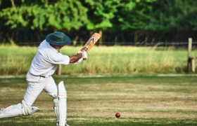 A Cricket Match in Action