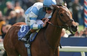 Rossa Ryan riding Pride Of Arras winning the 2025 Dante Stakes at York.