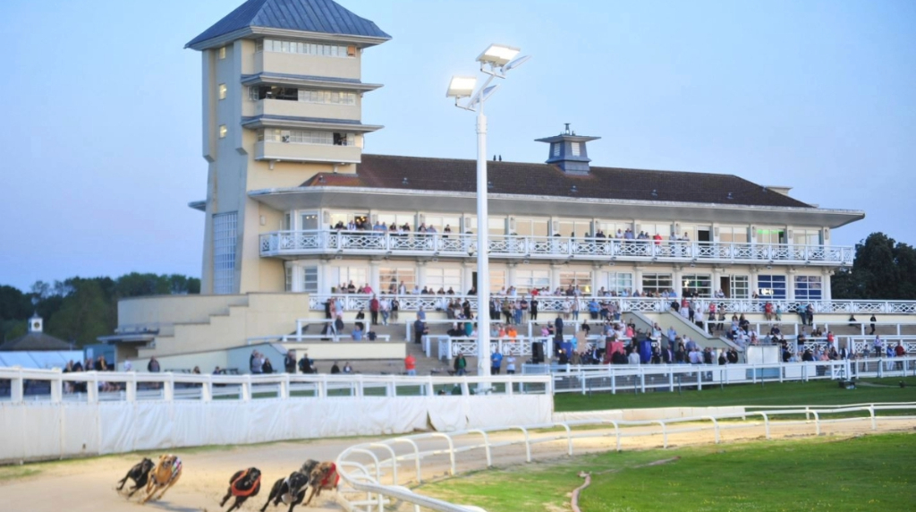 Greyhounds in action at Towcester.