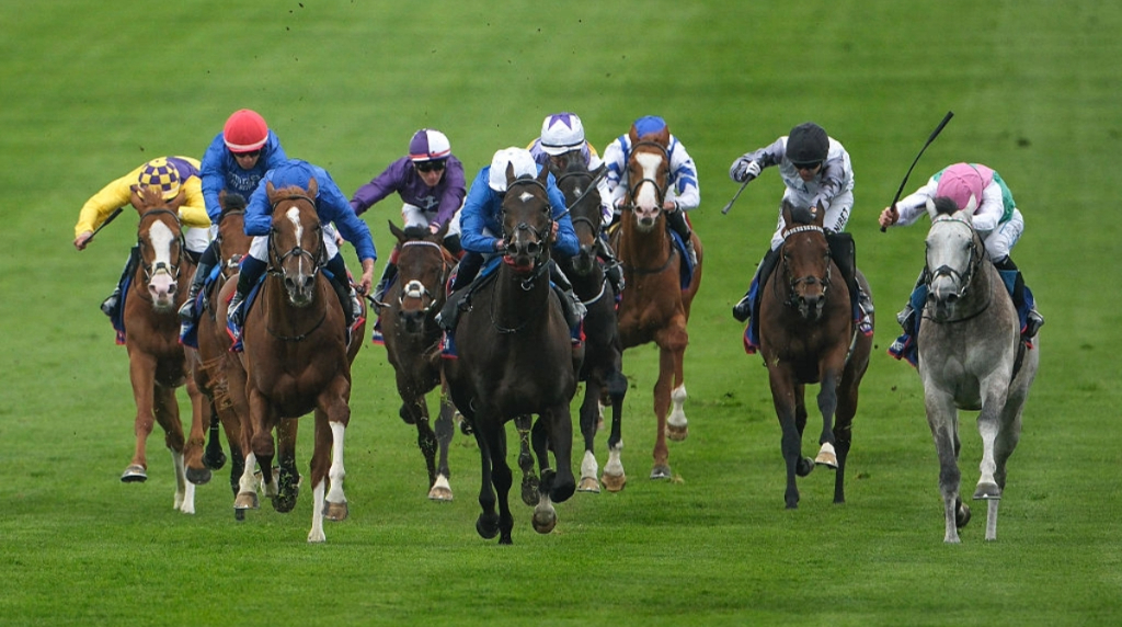 The Field Dash to the Line in the 2025 2000 Guineas.