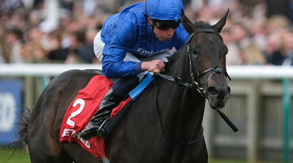 Cinderella's Dream winning at Newmarket