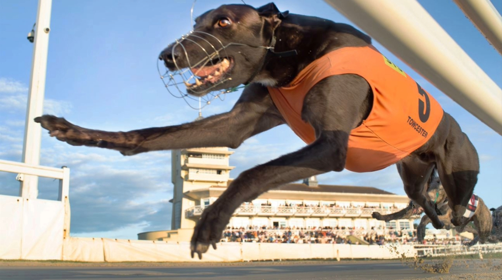 Opening Bend Action at Towcester Racecourse.