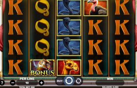 Queen of Oasis by Spinomenal