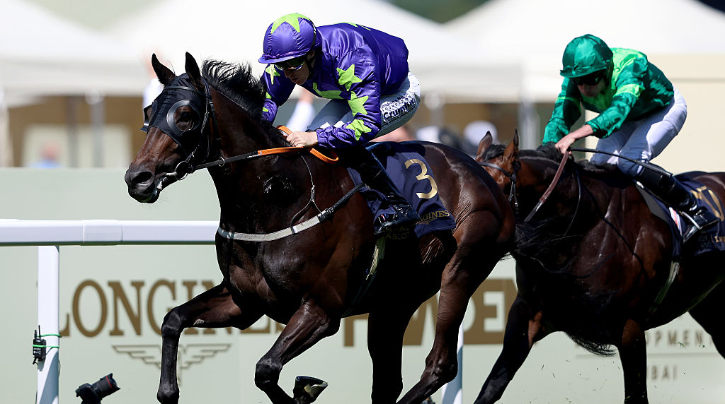 Billy Lee riding Carmers win the Queen's Vase at Royal Ascot 2025.