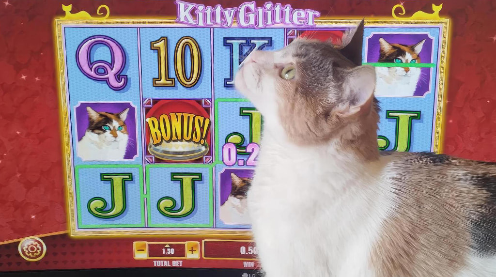 Our Ranking of the Top 5 Online Slots with Cats in September 2025