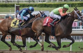 A Horse Race in Action