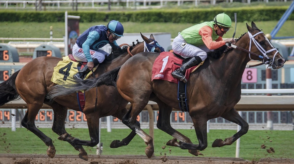 A Horse Race in Action