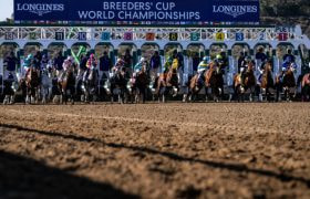 Horses Burst from the Starting Gates at the 2024 Breeders' Cup.