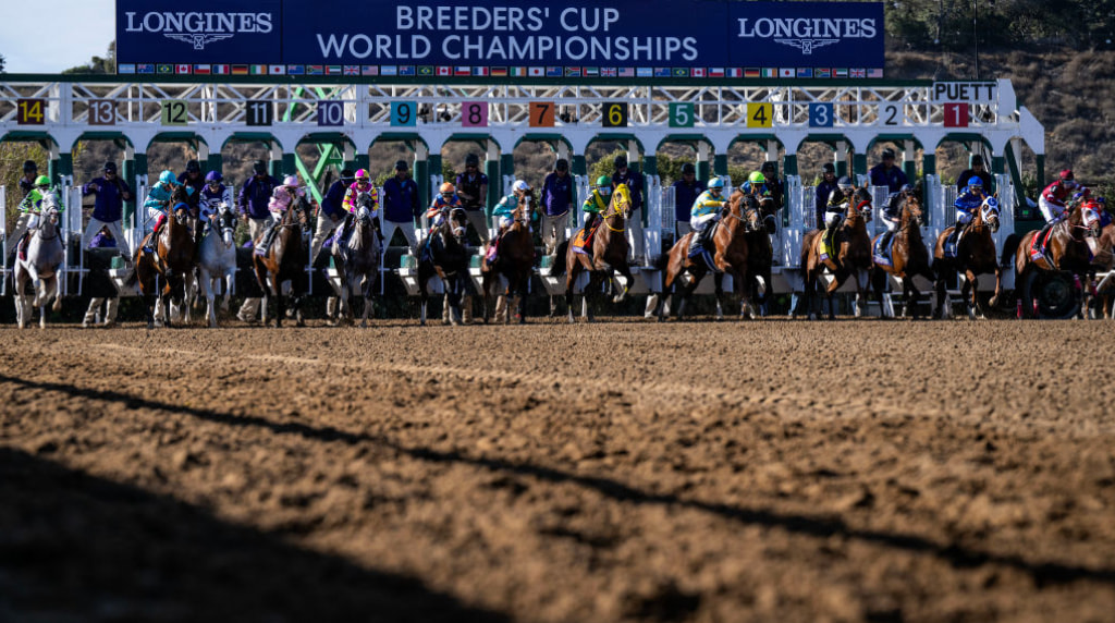 Horses Burst from the Starting Gates at the 2024 Breeders' Cup.