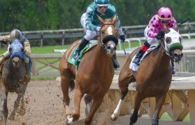 A Horse Race in Action