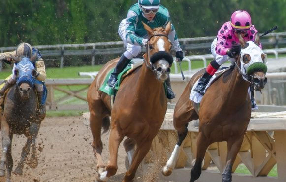 A Horse Race in Action