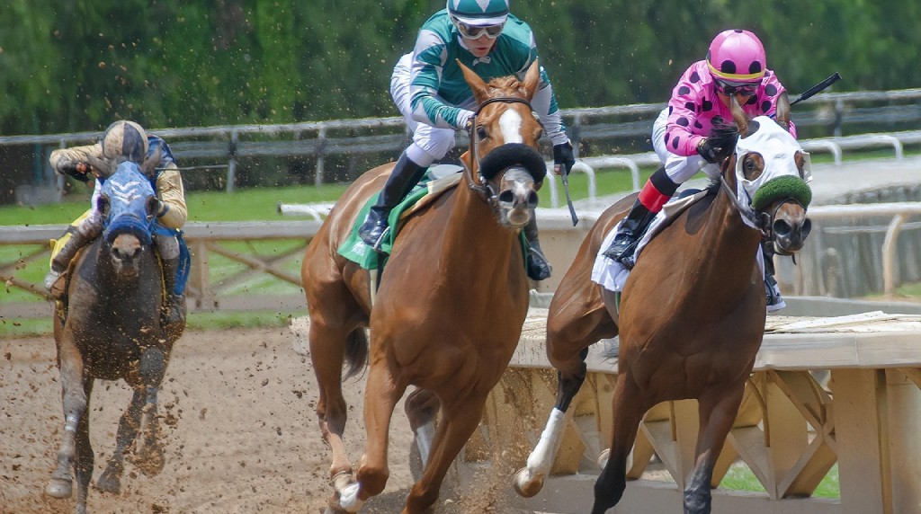 A Horse Race in Action