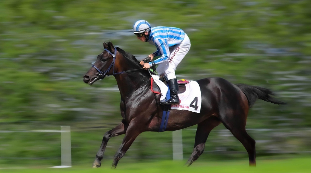 Horse Race in Action