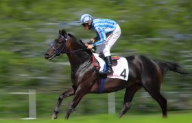 A Jockey Taking Part in a Horse Race