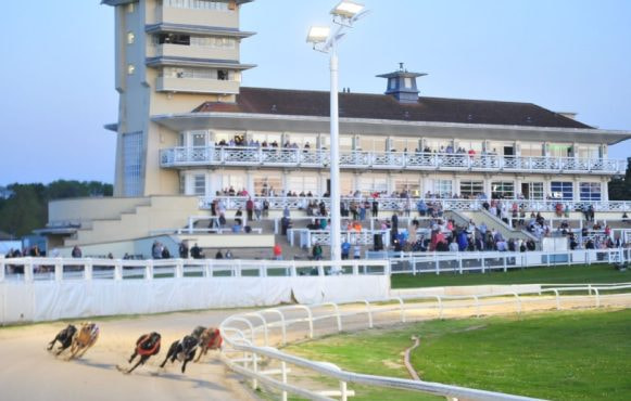Greyhounds in Action at Towcester Racecourse.