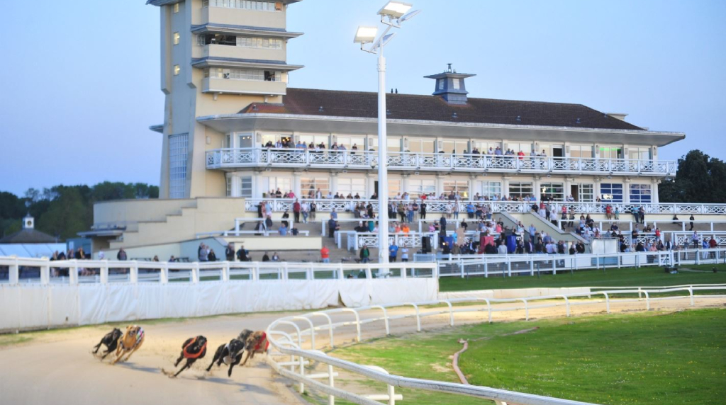 Greyhounds in Action at Towcester Racecourse.