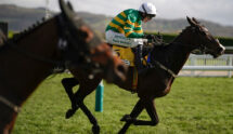 Majborough Clearing the Final Flight to Win the 2024 JCB Triumph Hurdle.