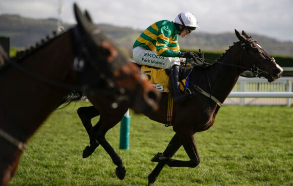 Majborough Clearing the Final Flight to Win the 2024 JCB Triumph Hurdle.