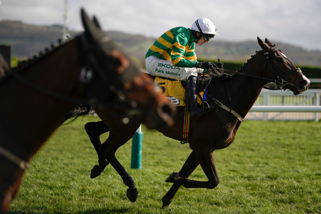 Majborough Clearing the Final Flight to Win the 2024 JCB Triumph Hurdle.