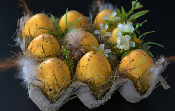 Gula ägg i blommor i äggkartong