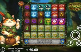 Screenshot from the New Prince of Purrwood Slot by AvatarUX