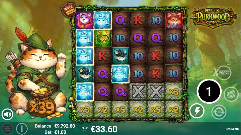 Screenshot from the Free Spins Feature of Prince of Purrwood