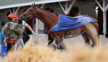 Renegade Is Washed Down in the Barn Area After a Morning Workout at Churchill Downs.