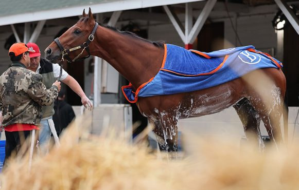 Renegade Is Washed Down in the Barn Area After a Morning Workout at Churchill Downs.