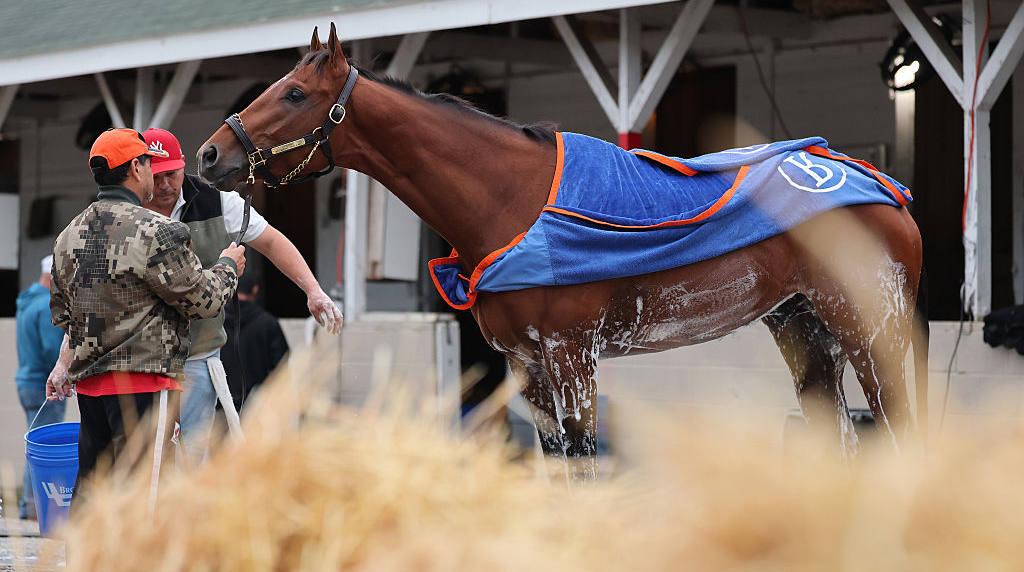 Renegade Is Washed Down in the Barn Area After a Morning Workout at Churchill Downs.
