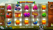 Screenshot from the New Bear Crazy Slot by Pragmatic Play