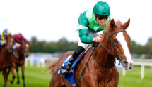 Benvenuto Cellini seen winning the 2025 KPMG Champions Juvenile Stakes at Leopardstown Racecourse.