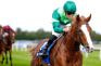 It Is 3/1 the Field in an Open Looking 2026 Betfred Epsom Derby