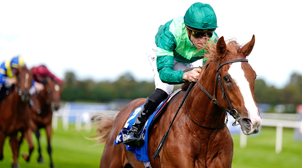 Benvenuto Cellini seen winning the 2025 KPMG Champions Juvenile Stakes at Leopardstown Racecourse.