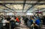 51 Days of 2026 World Series of Poker Coverage Is About to Begin
