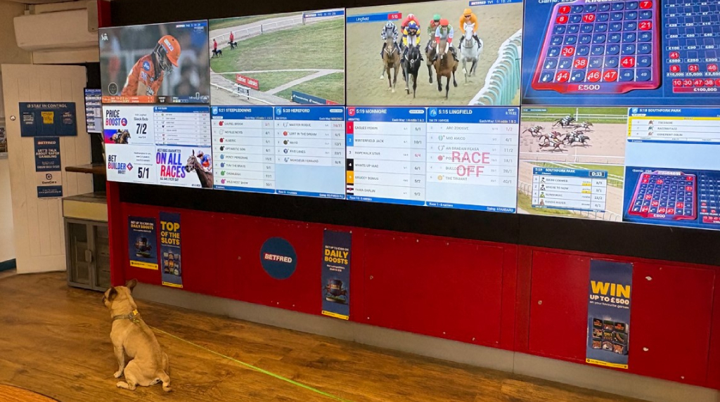 A Dog Sits Alone in a Betting Shop