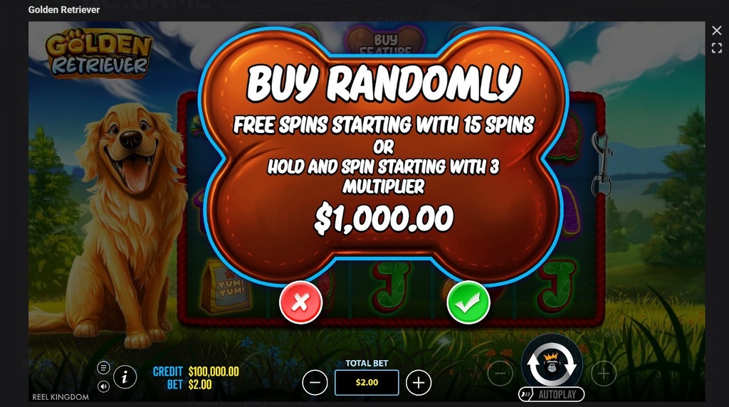 Screenshot cu funcția Buy Randomly a slotului Golden Retriever