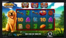 Screenshot cu noul slot Golden Retriever dezvoltat de Pragmatic