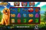Golden Retriever slot dezvoltat de Pragmatic apare pe 20.08.2026