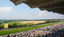 The View from Goodwood's Grandstand