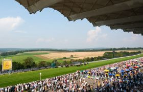 The View from Goodwood's Grandstand