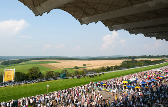 The View from Goodwood's Grandstand