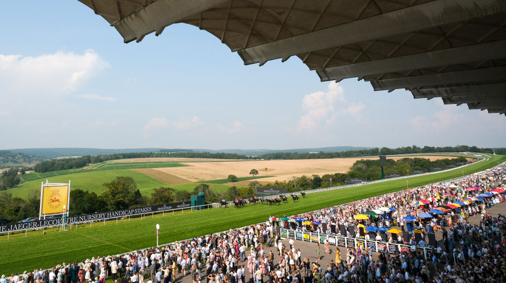 The View from Goodwood's Grandstand