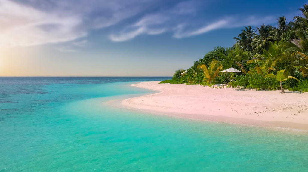 Spiaggia tropicale con mare turchese e palme