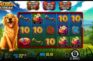 Give the New Golden Retriever Slot a Spin on 20 August